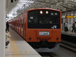 P4118720.jpg