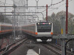 P4288765.jpg
