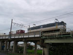 P6279515.jpg