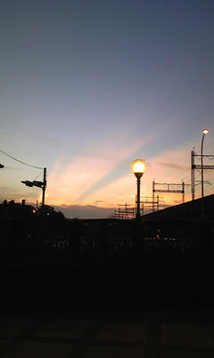 43640049_org.v1279723754.jpg