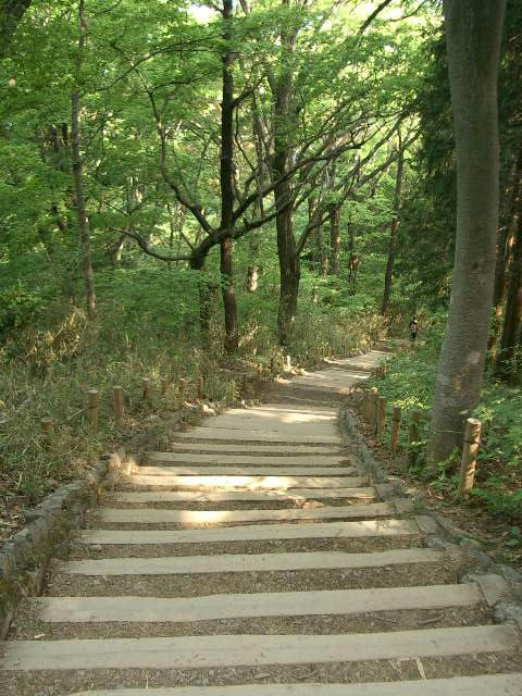 takao-mt.JPG