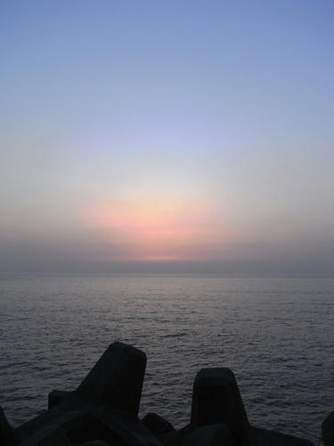 e5785966.jpg