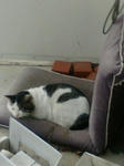20080109164919.jpg
