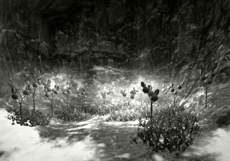 Nightflowers_mono