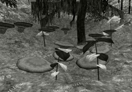 Jugner Forest_mono