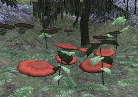 Jugner Forest_col