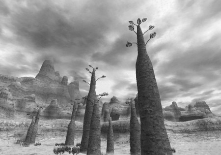 Buburimu Peninsula_mono