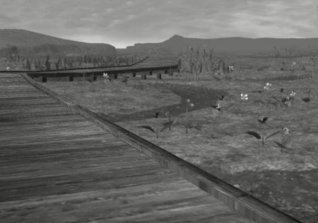 Pashhow Marshlands_mono