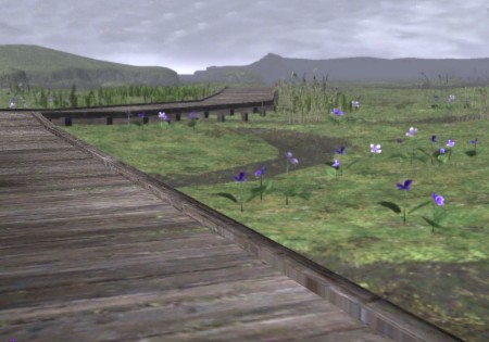 Pashhow Marshlands_col