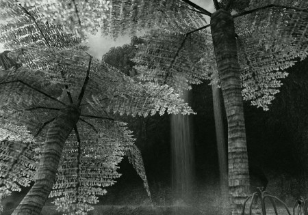 Yuhtunga Jungle_mono