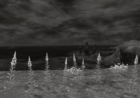 Lufaise Meadows_mono