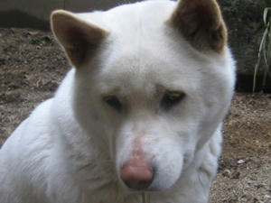 20080328_435027.jpg