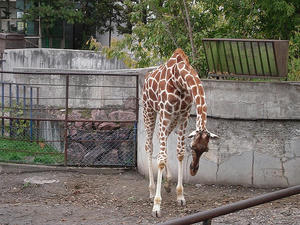 6499c5f618f32027e579-LL.jpg