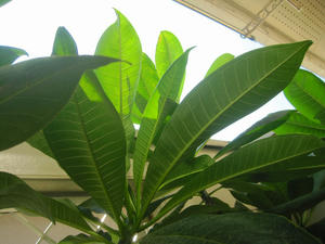 s-IMG_0135.jpg