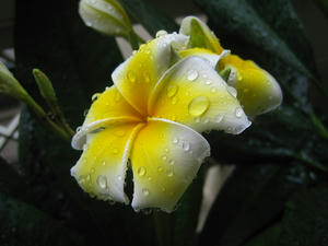 s-IMG_0166.jpg