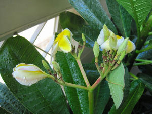 s-IMG_0173.jpg