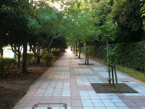 c005ed16.jpg