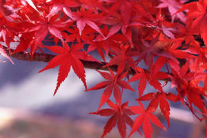 20091007_3028885.jpg