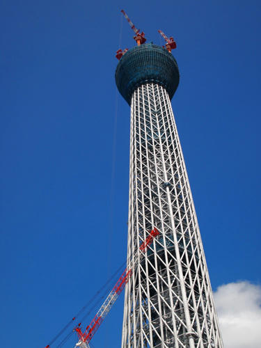 P8100038.jpg