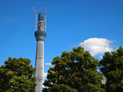 PA110190.jpg
