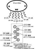 iraimap1-2.jpg