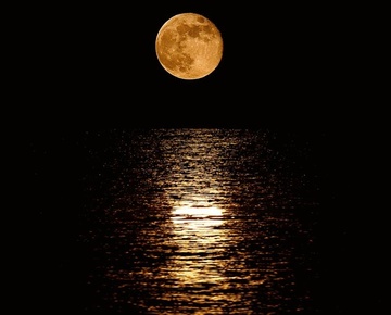 【NO.253】moon river
