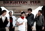 foals7.jpg