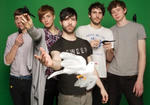 foals21.jpg