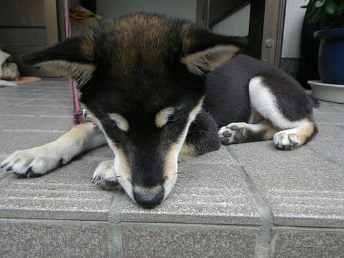 2010.07.18-1.jpg