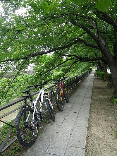 2010.07.18-2.jpg