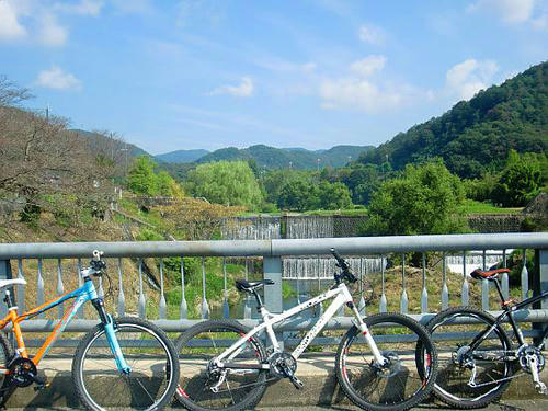 2010.09.19-2.jpg