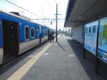 20190426f.JPG