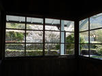 20190502f.JPG