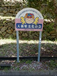 20190502h.JPG