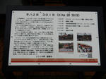 20190510b.JPG