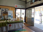 20190517e.JPG