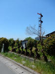 20190510j.JPG
