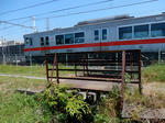 20190528f.JPG