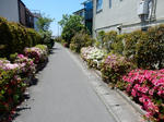 20190530b.JPG
