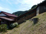 20190604f.JPG
