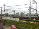 20190616e.JPG
