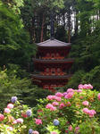 20190713a.JPG
