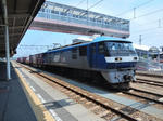 20190810h.JPG