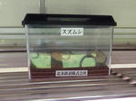 20190812h.JPG