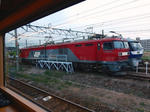 20191101j.JPG