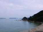 20191106e.JPG