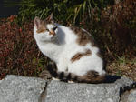 20200210e.JPG