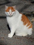 20200210i.JPG