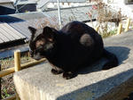 20200211a.JPG