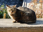 20200211c.JPG